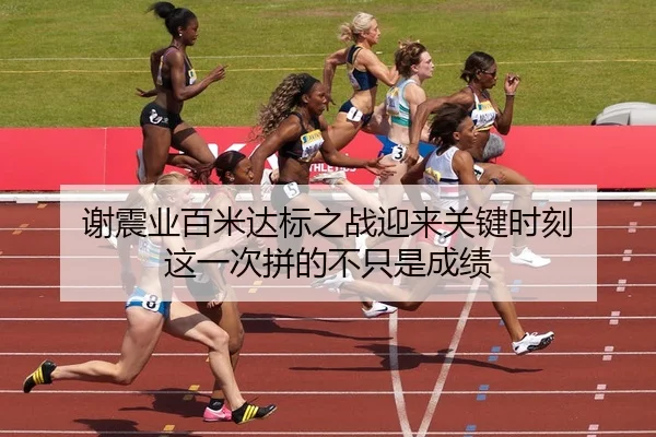 谢震业百米达标之战迎来关键时刻 这一次拼的不只是成绩